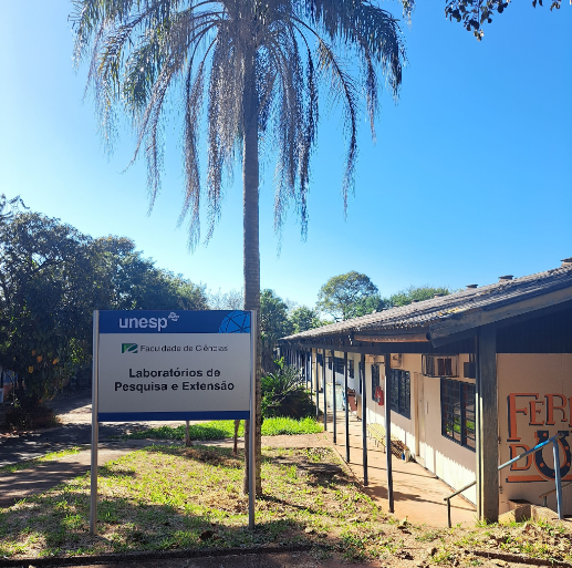 Movi-Lab estuda impactos da Doença de Parkinson